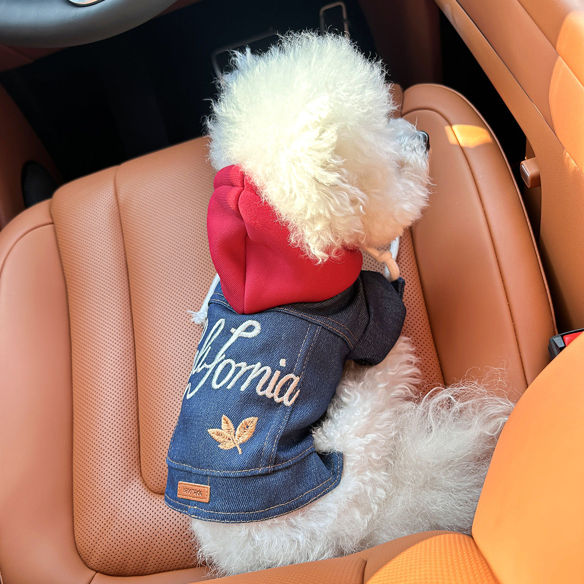 Chaqueta Vaquera de Mezclilla para Mascotas
