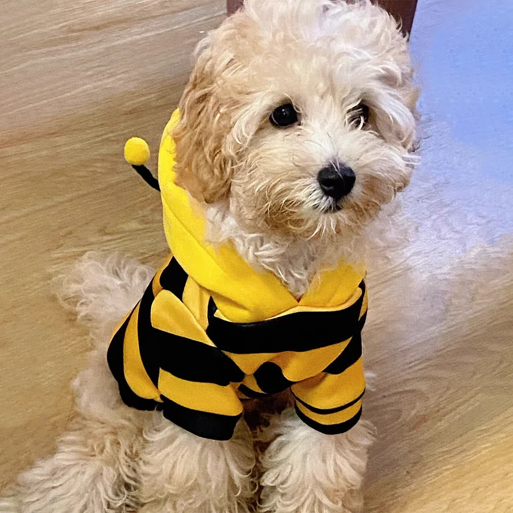 Disfraz de Halloween Divertido para Perros
