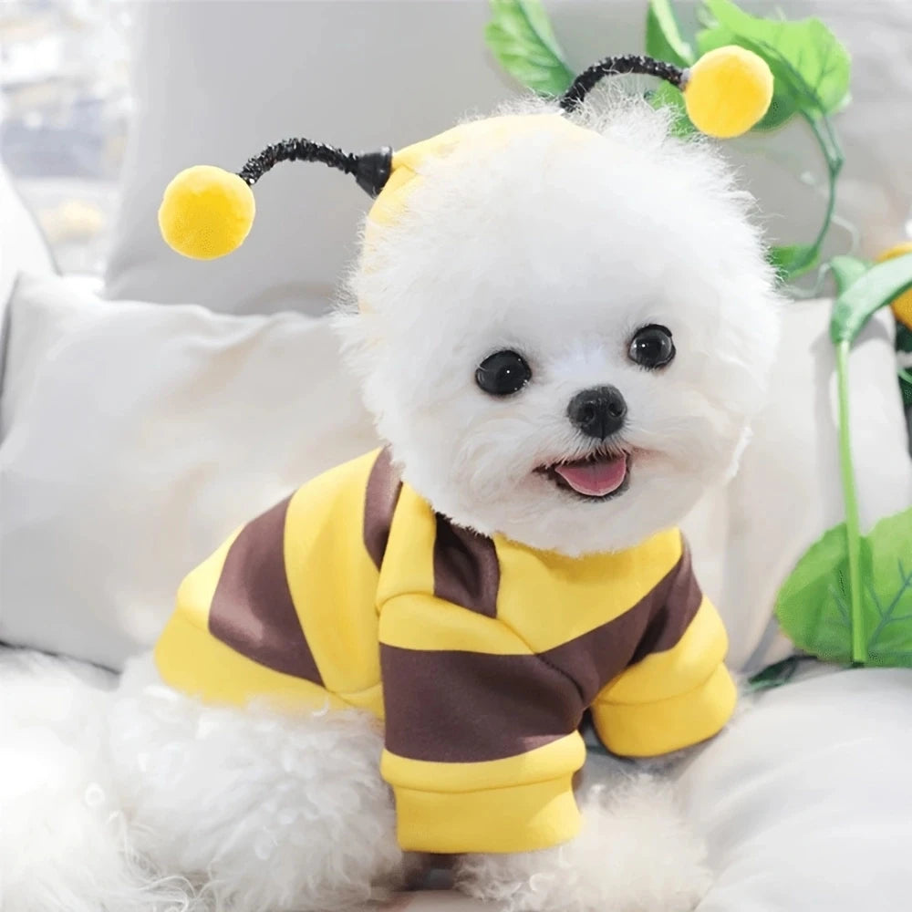Disfraz de Halloween Divertido para Perros