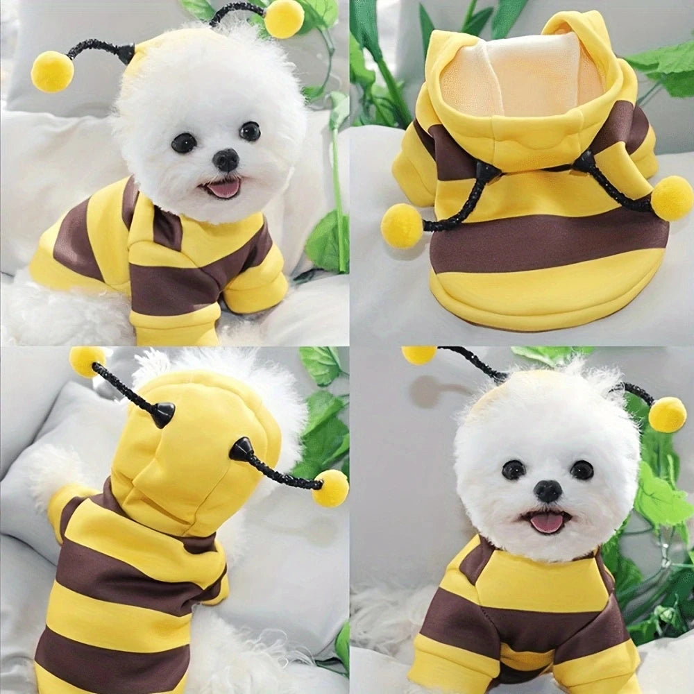 Disfraz de Halloween Divertido para Perros