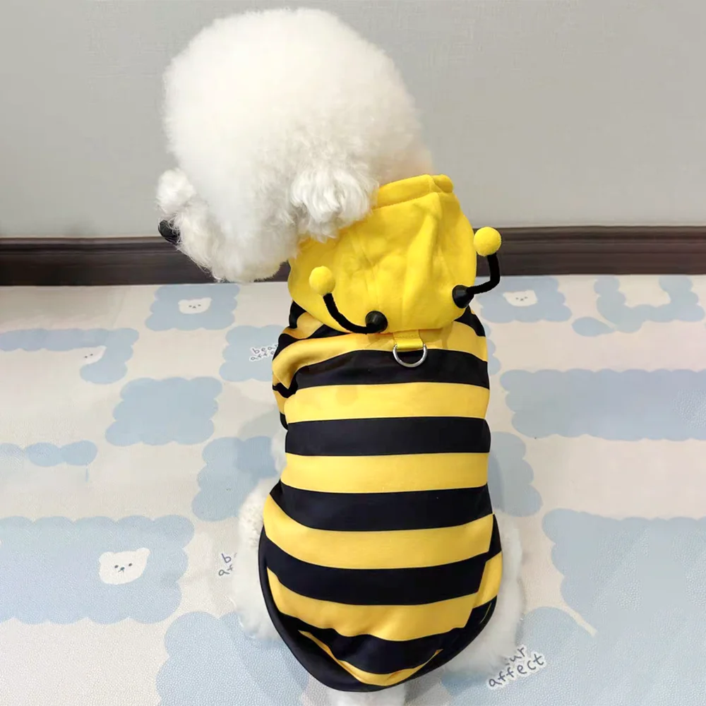 Disfraz de Halloween Divertido para Perros