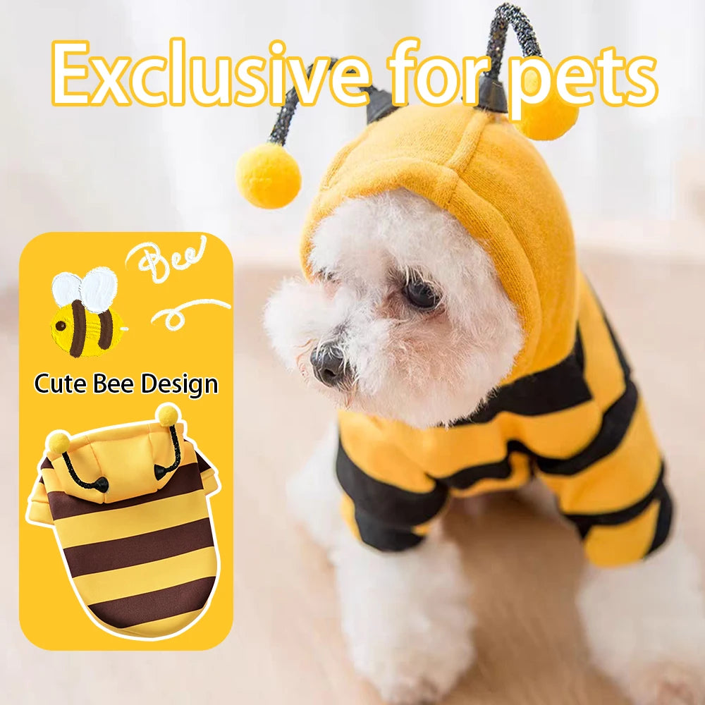 Disfraz de Halloween Divertido para Perros