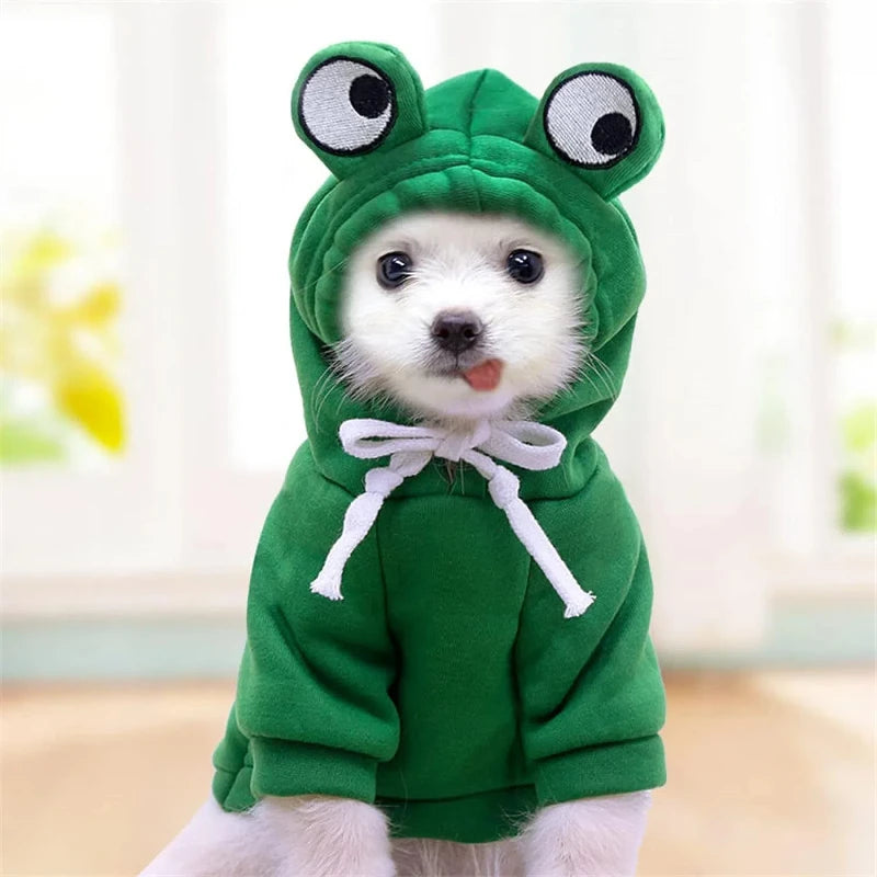 Sudadera de Dinosaurio Calida para Perros