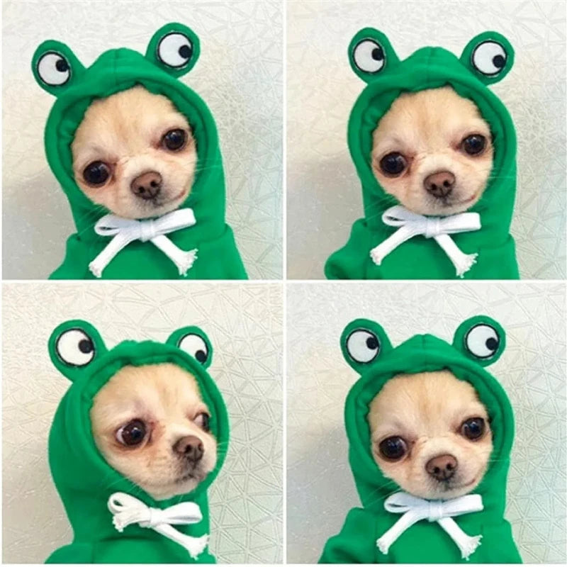 Sudadera de Dinosaurio Calida para Perros